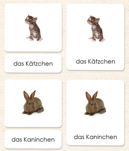 German Pets 3-Part Reading