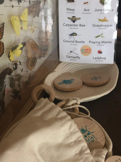 Wooden Matching Memory Game (Insects)