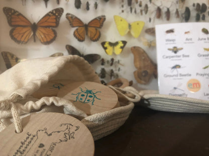 Wooden Matching Memory Game (Insects)