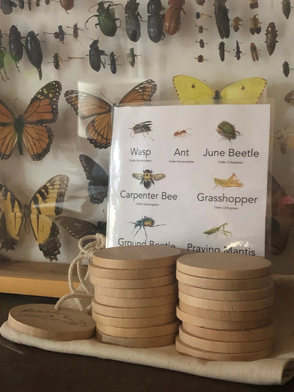 Wooden Matching Memory Game (Insects)
