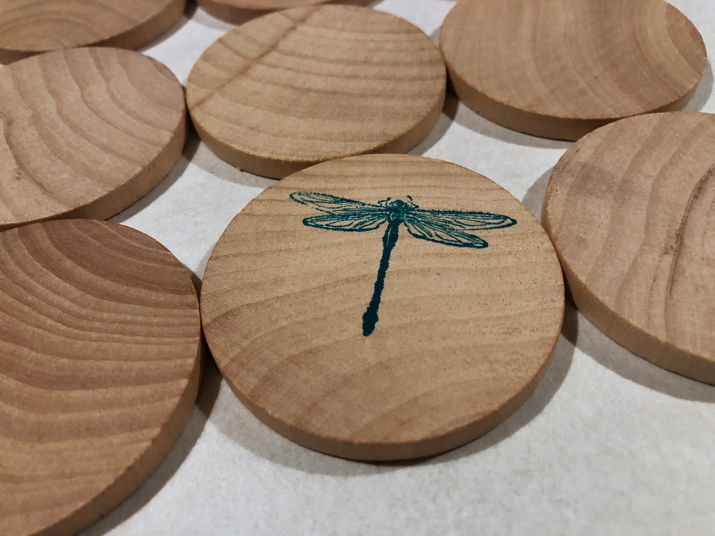Wooden Matching Memory Game (Insects)