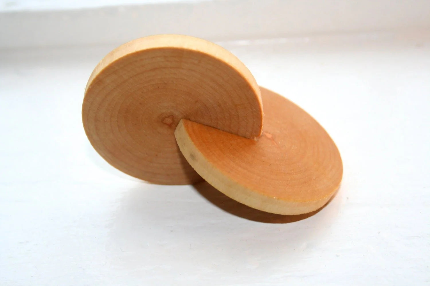 Interlocking Discs