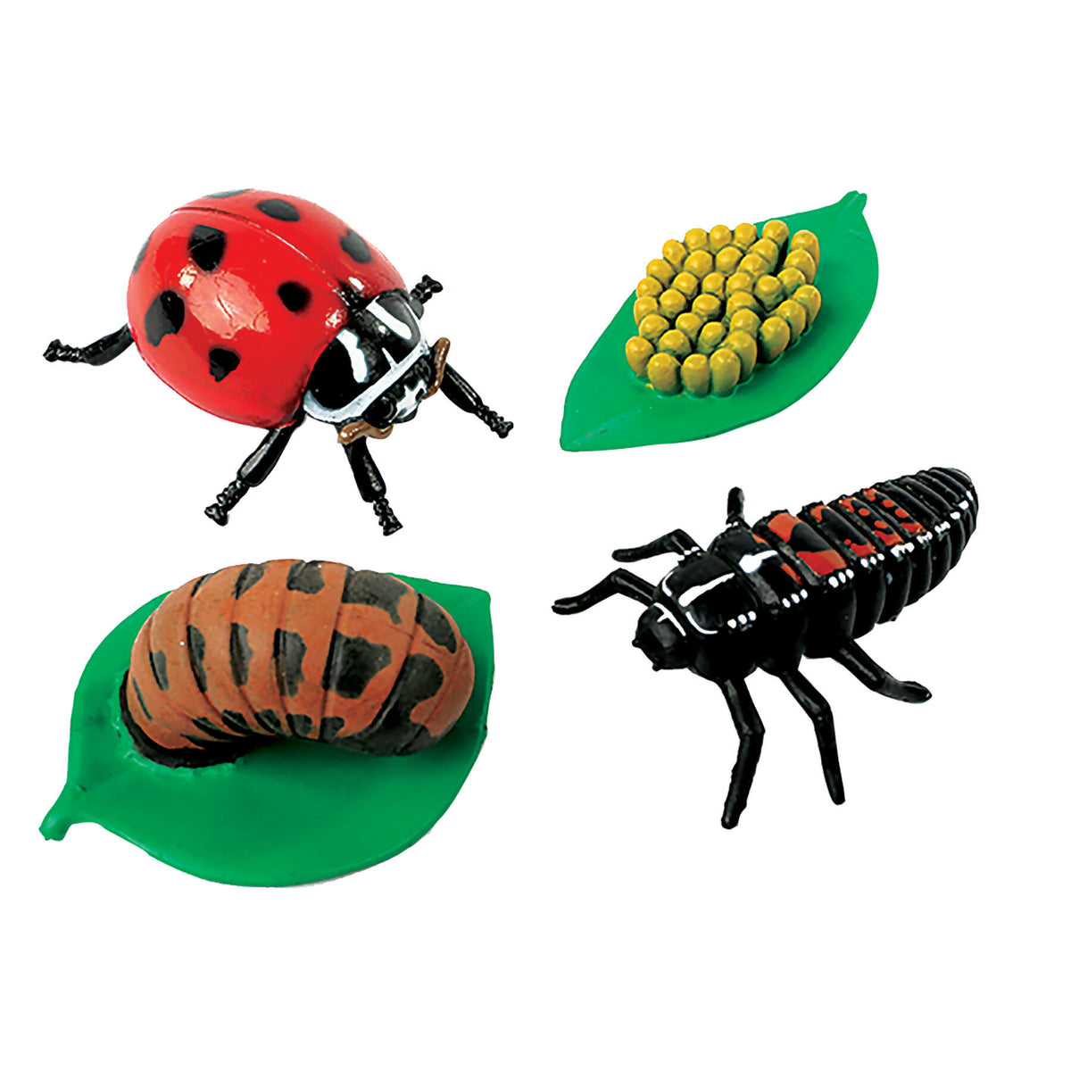 Ladybug Life Cycle Figures (4-Piece Set)