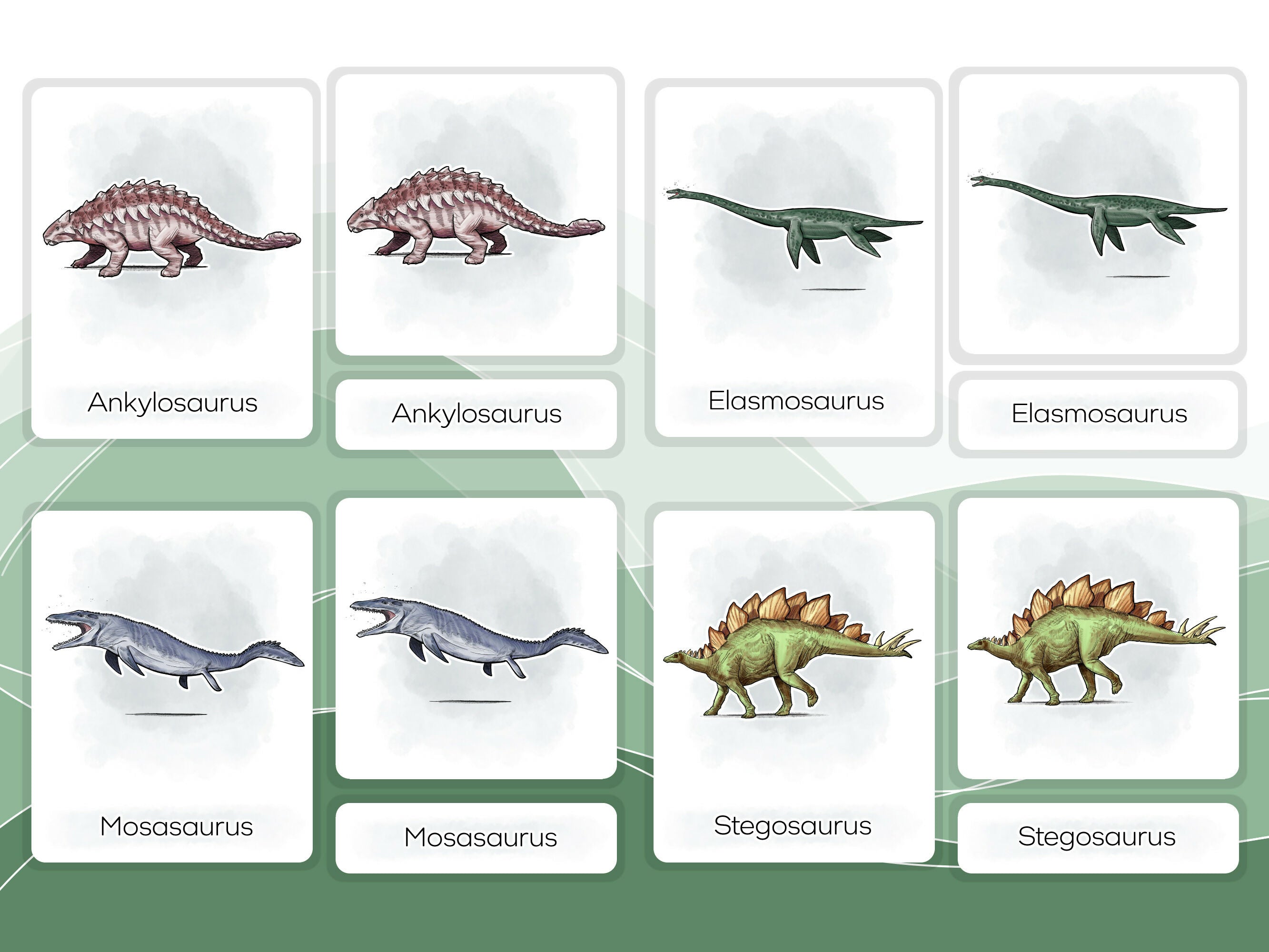 Nomenclature Cards Set - Illustrated Dinosaurs