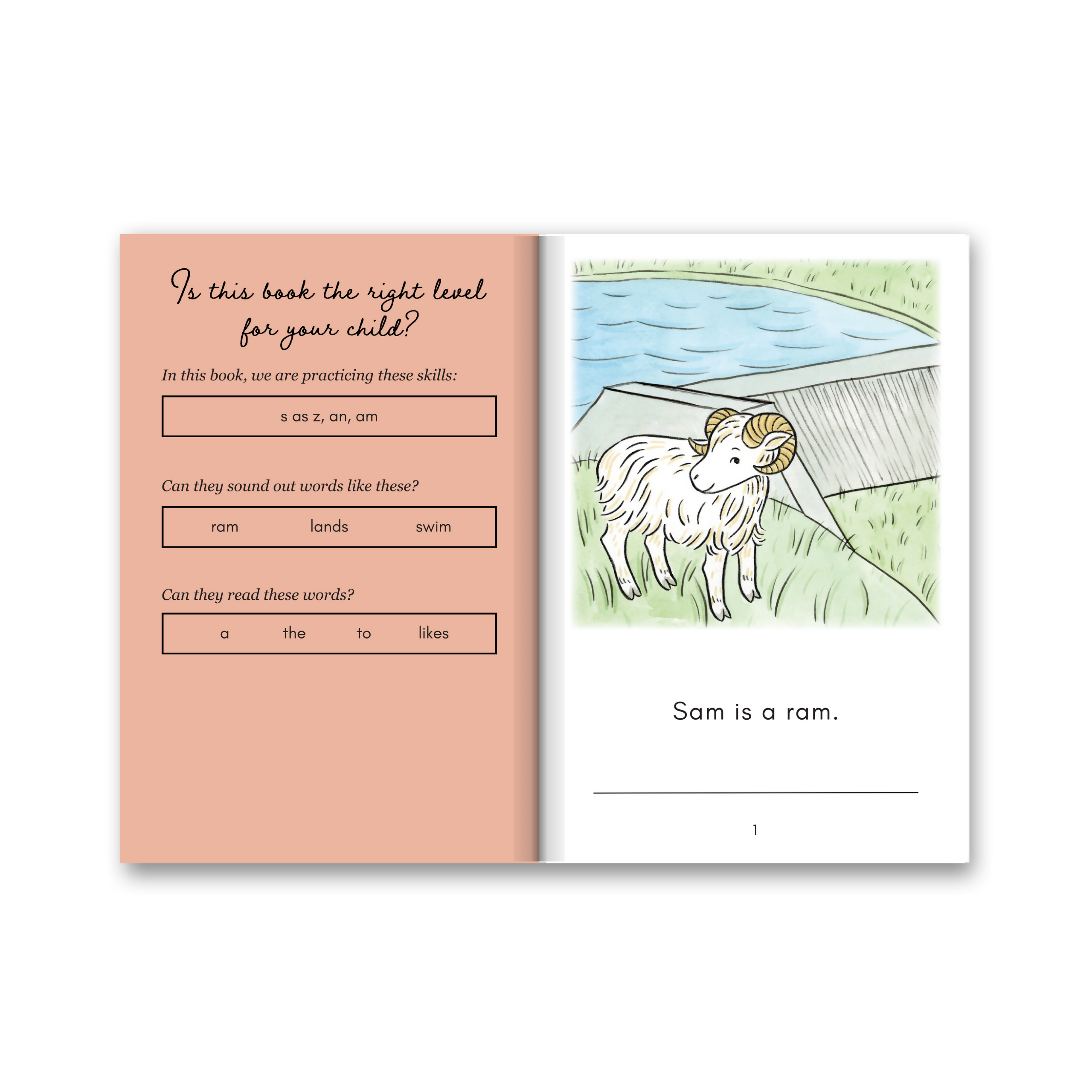 Level 2: Six Decodable Books