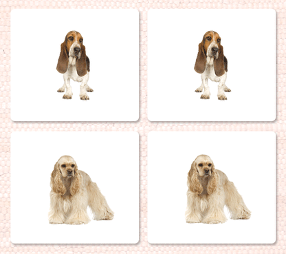Dogs Matching