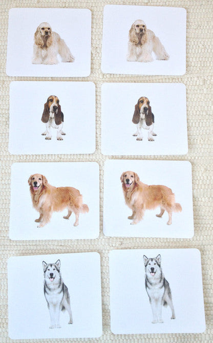 Dogs Matching
