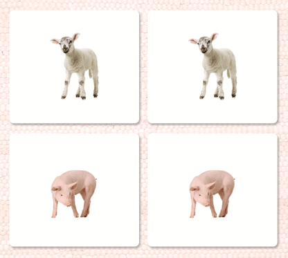 Farm Animals (Juvenile) Matching