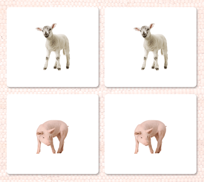 Farm Animals (Juvenile) Matching