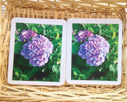 Garden Flowers Matching