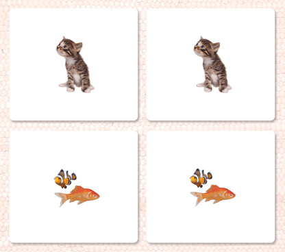 Pets Matching