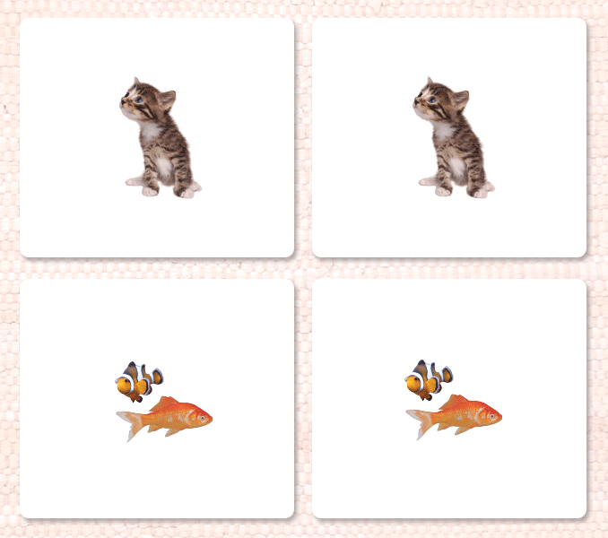 Pets Matching