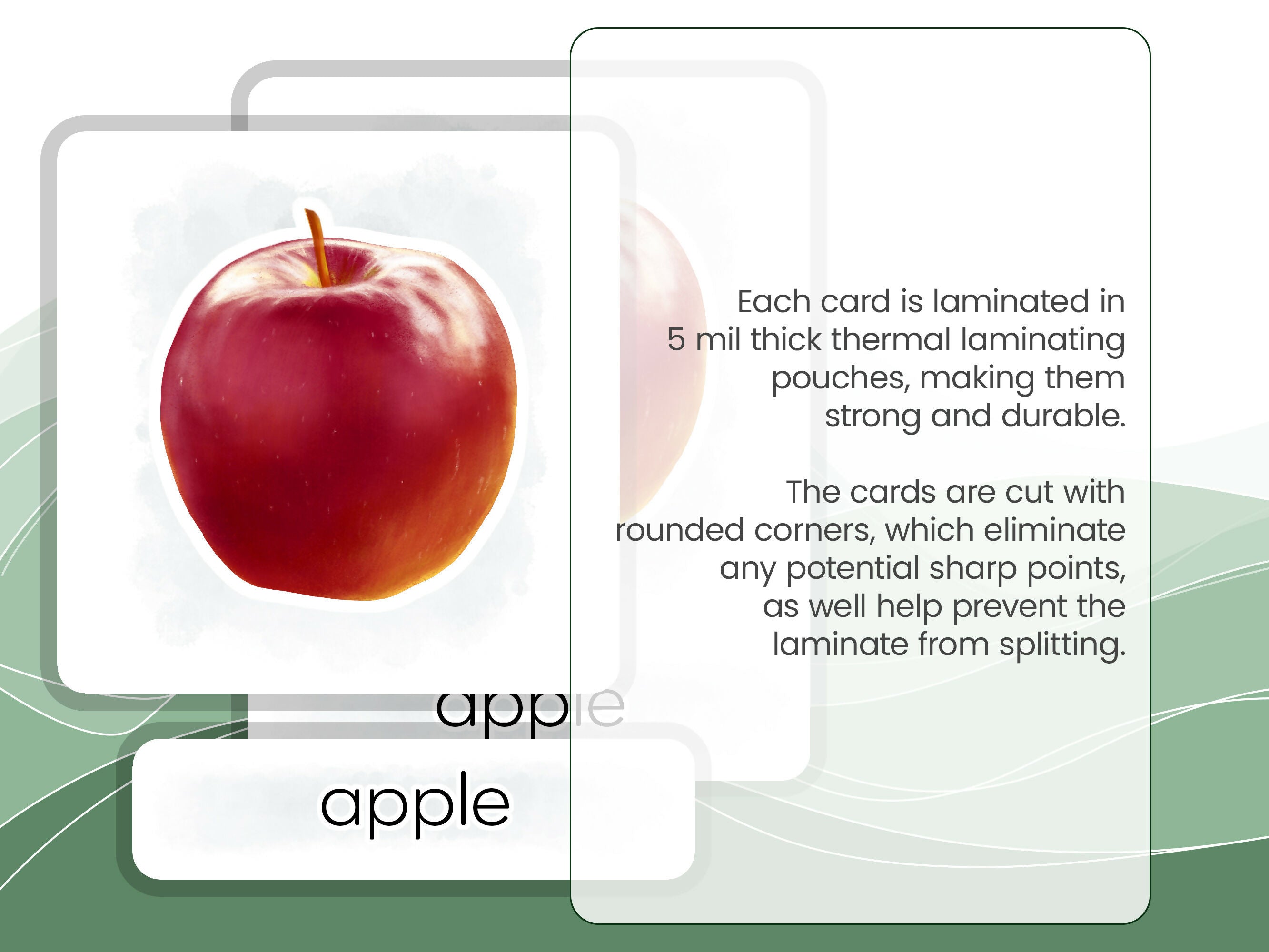 Nomenclature Cards Set - Illustrated Fruits