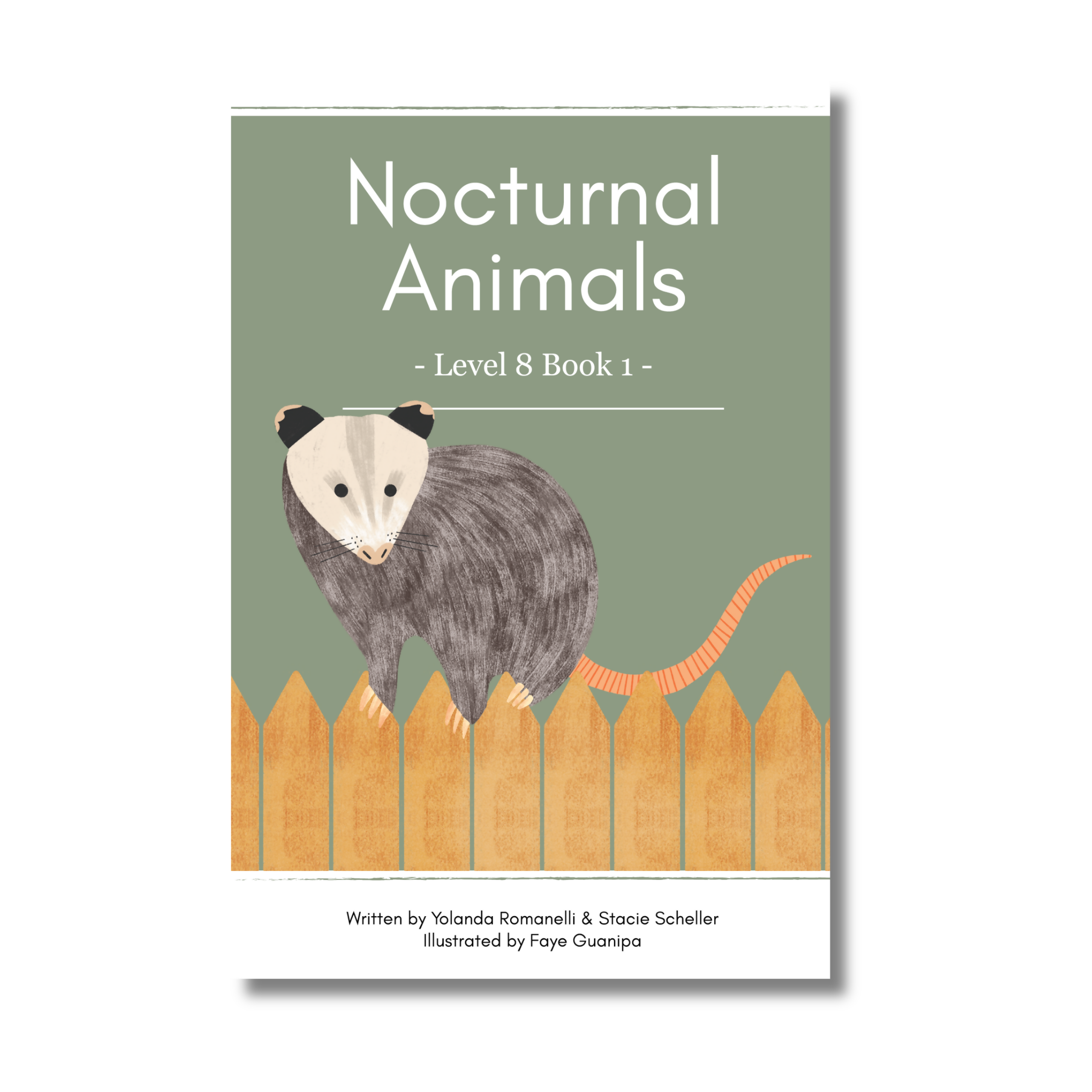 Level 8: Six Decodable Books