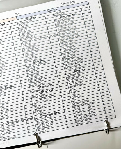 Three to Six Record Keeping and Lesson Planning Checklist, Editable Excel Template.
