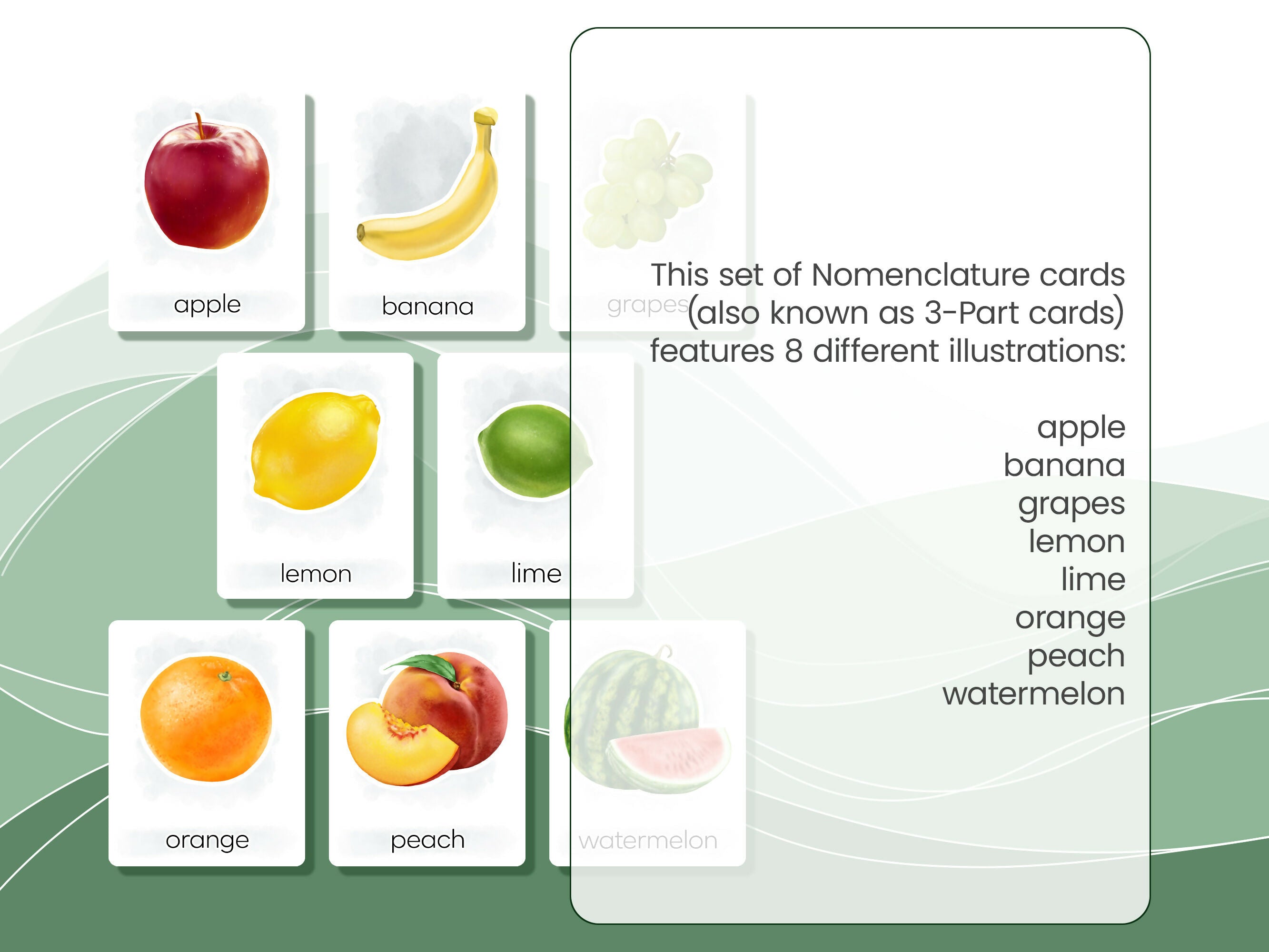 Nomenclature Cards Set - Illustrated Fruits