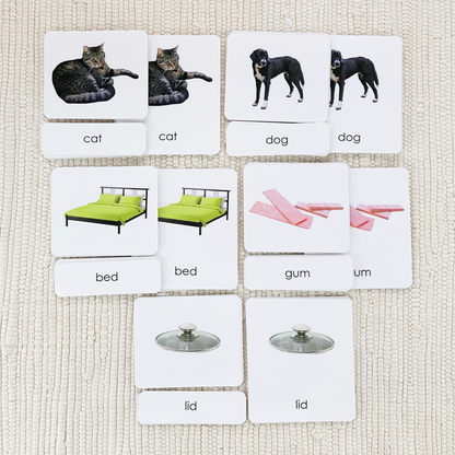 Phonetic Reading Card Set (Complete)