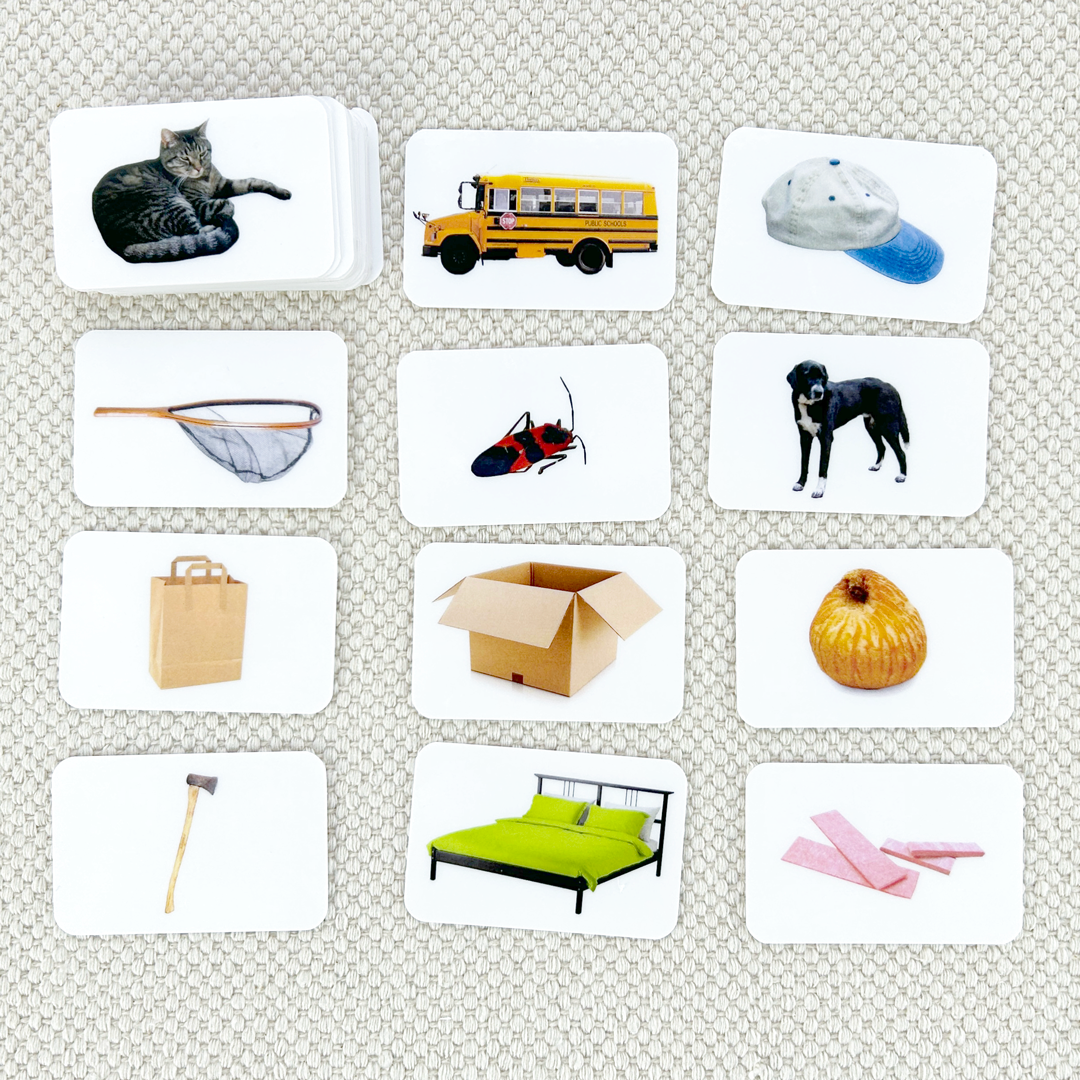 Phonetic Picture Cards
