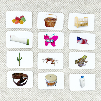 Phonetic Picture Cards