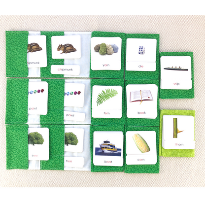 Phonetic Level 3 Set: Key Sound Phonograms