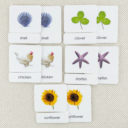 Phonetic Reading Card Set (Complete)