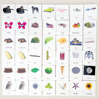 Phonetic Reading Card Set (Complete)