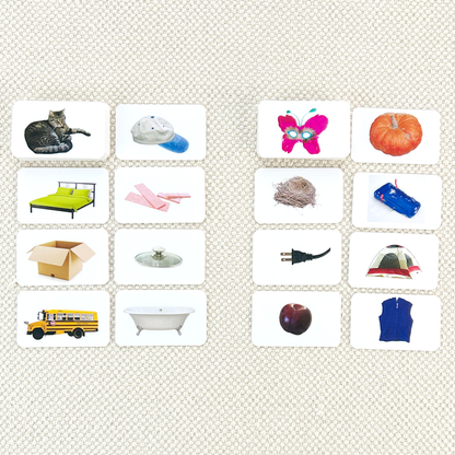 Phonetic Picture Cards