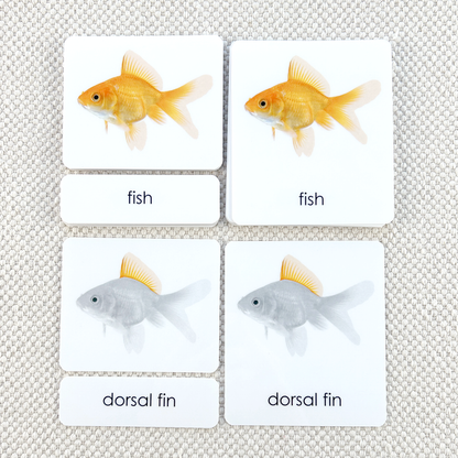 Parts of the Fish 3-Part Reading