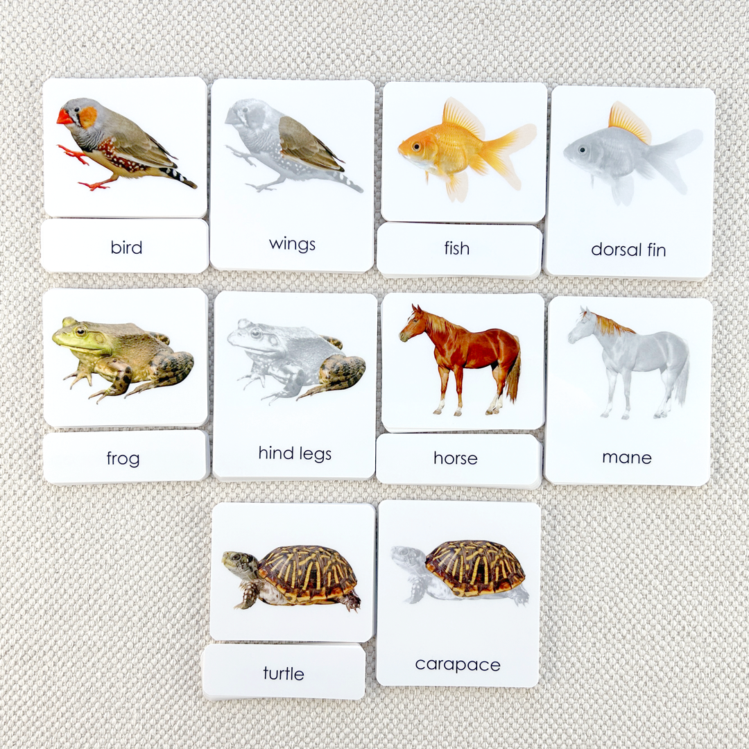 Vertebrates