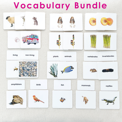 Early Literacy Bundles
