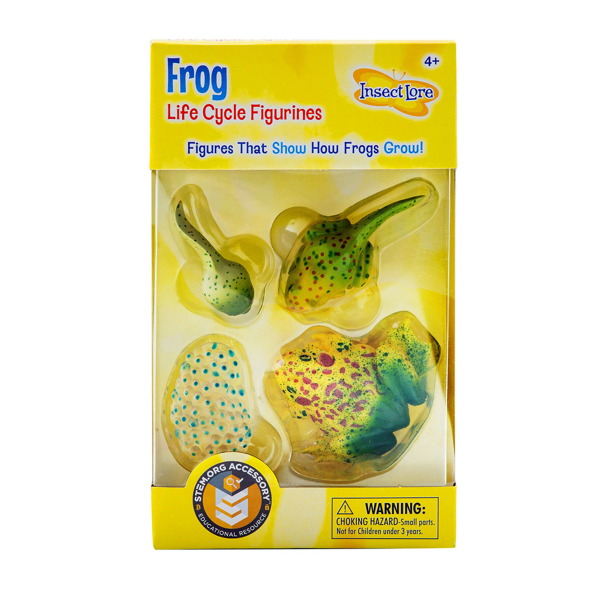Frog Life Cycle Figures (4-Piece Set)