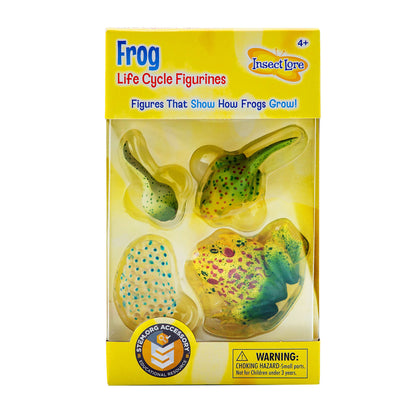 Frog Life Cycle Figures (4-Piece Set)