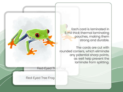 Nomenclature Cards Set - Illustrated Frogs