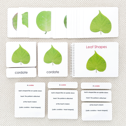 Leaf Shapes Book & Card Set