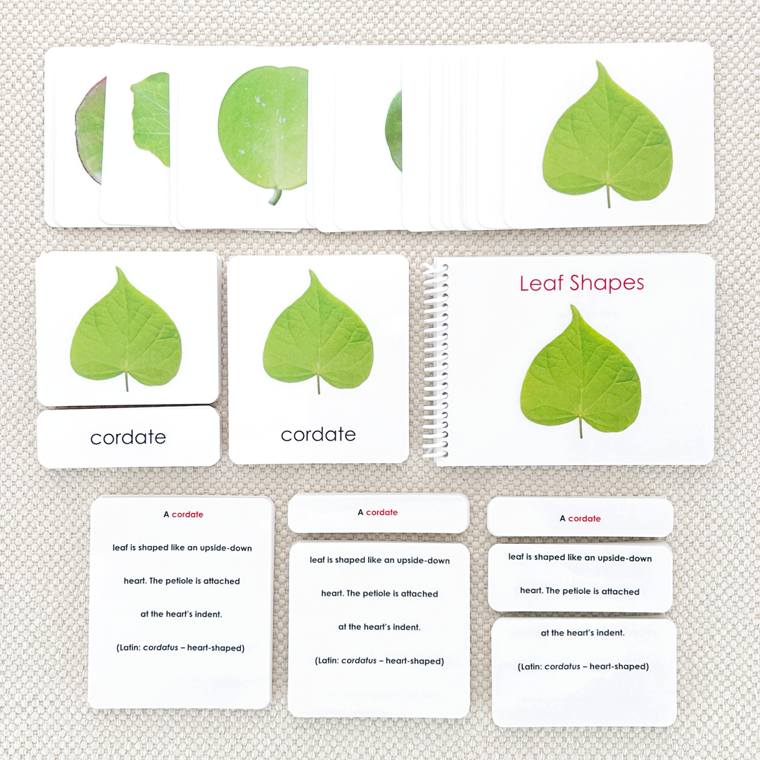 Botany Build-a-Book Bundle