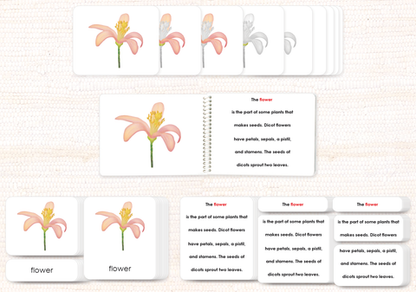 Botany Build-a-Book Bundle