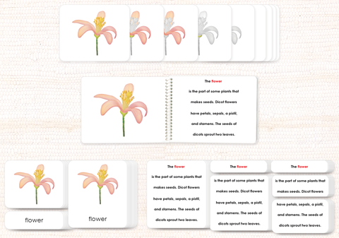 Botany Build-a-Book Bundle