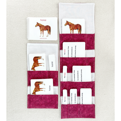 Parts of the Horse Book & Card Set