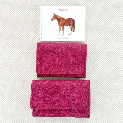 Parts of the Horse Book & Card Set