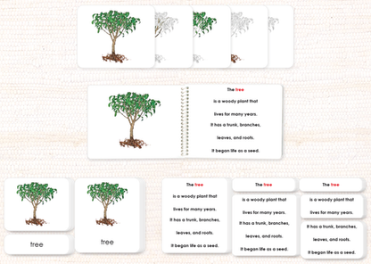 Botany Build-a-Book Bundle