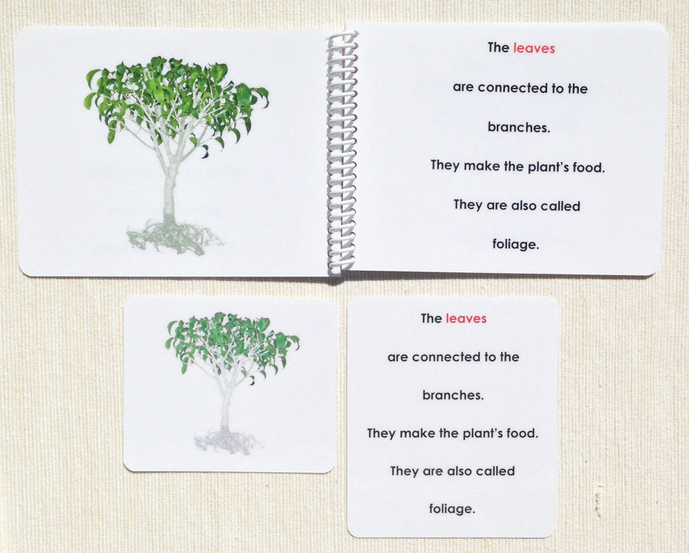 Parts of the Tree Book & Card Set