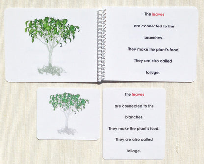 Parts of the Tree Book & Card Set