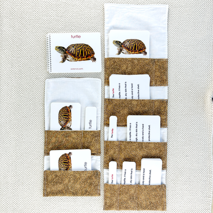 Parts of the Turtle Book & Card Set