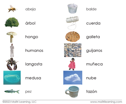 Living/Non-Living Sorting
