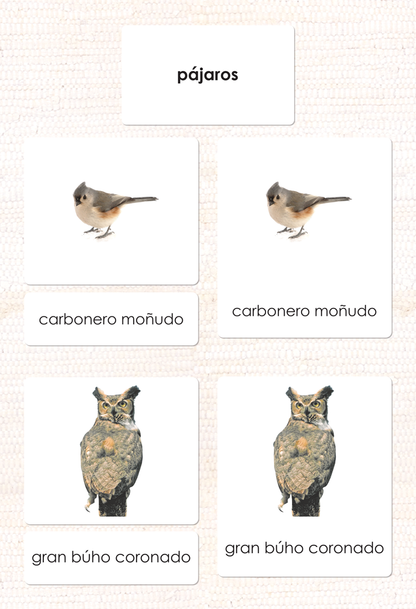 Spanish Birds 3-Part Cards