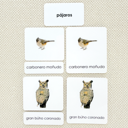 Spanish Birds 3-Part Cards