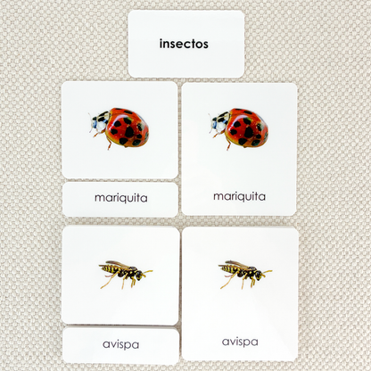 Spanish Insects 3-Part Cards