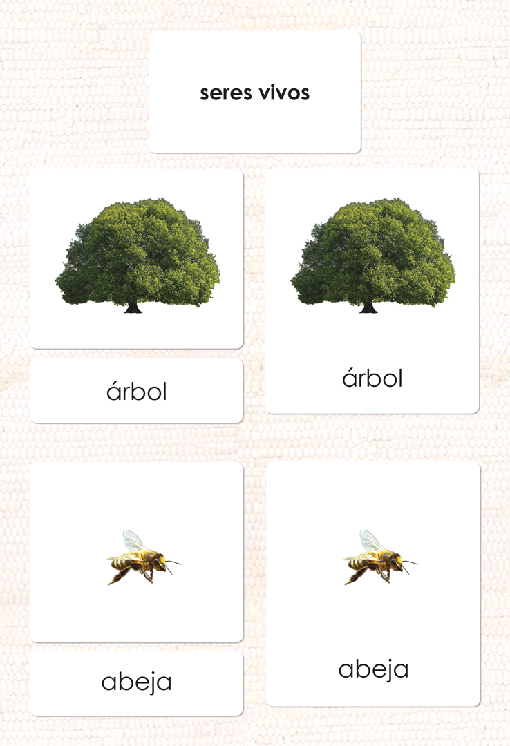Spanish Living 3-Part Cards