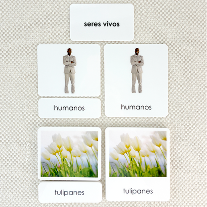 Spanish Living 3-Part Cards