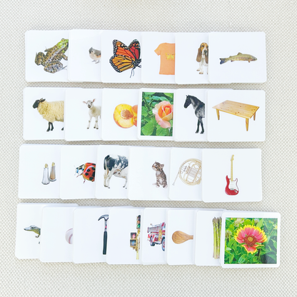 Basic Vocabulary Card Set/26